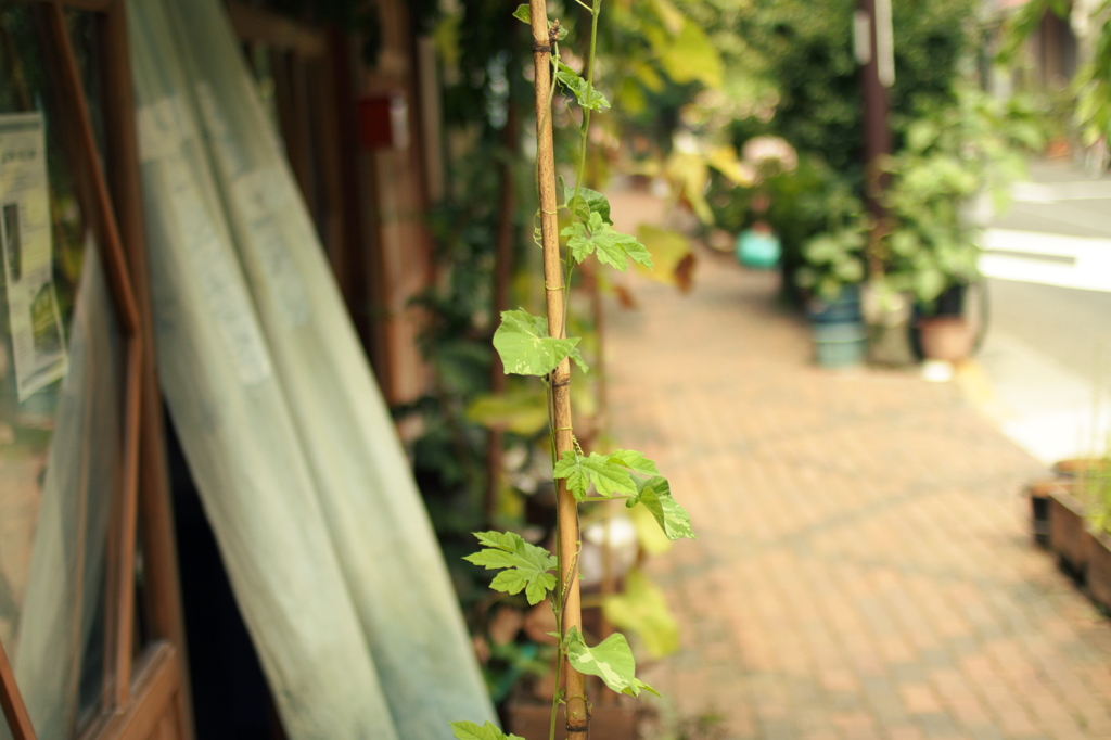 風通る店