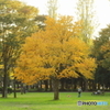Evening of the park