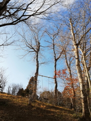 丘のブランコ（青空）