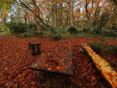 森のテーブル