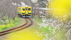 いすみ鉄道に春が来た