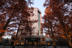 ホテルトリニティ書斎