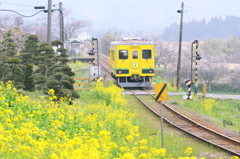 春色鉄道