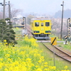 春色鉄道