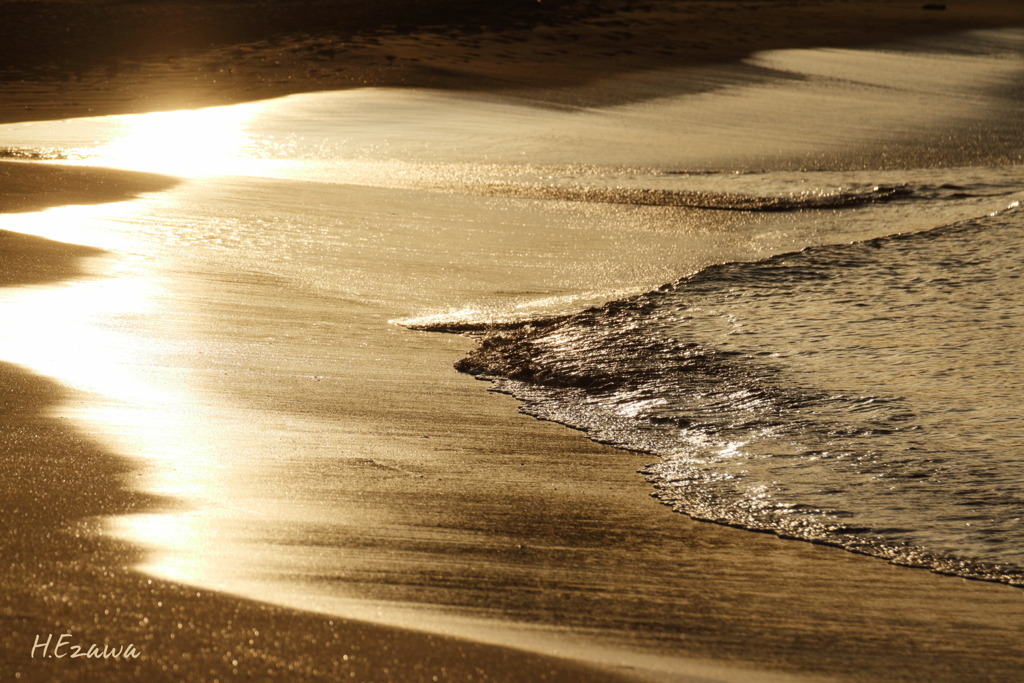 Golden shore2