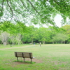 新緑の公園