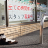 スタッフ募集中だぜ