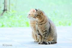 ん？