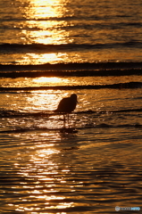 夕暮れにひとり