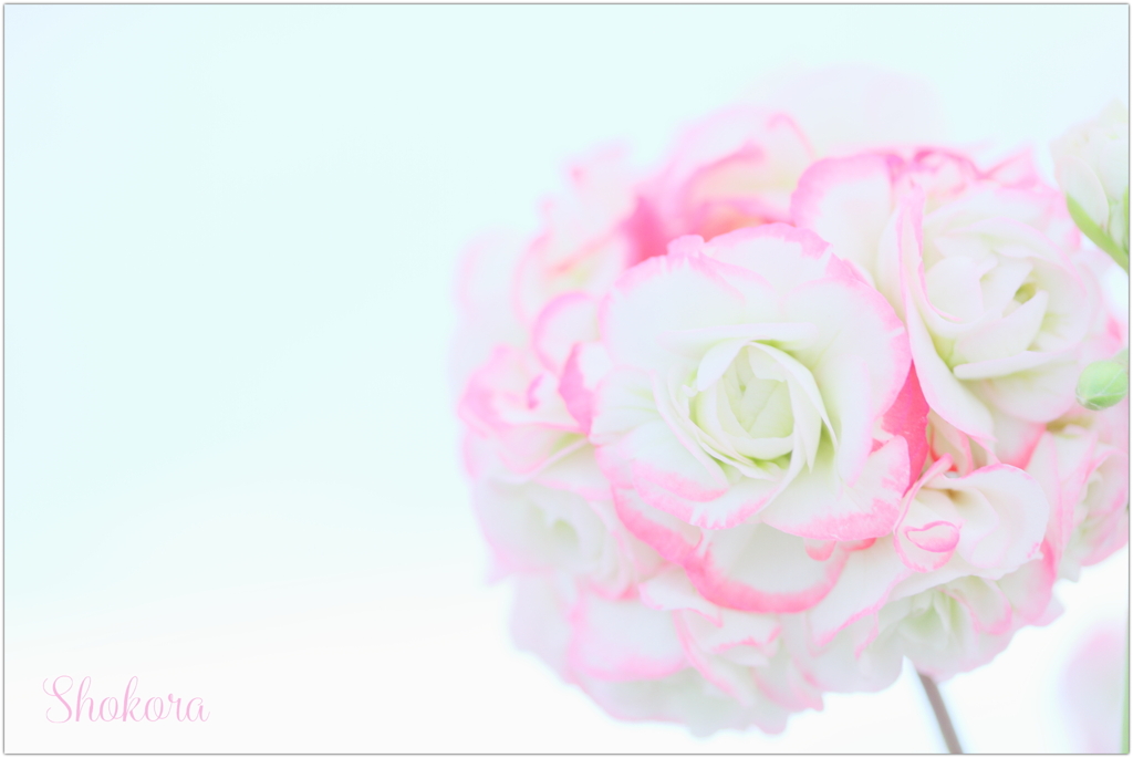 Angel bouquet2