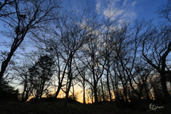 winter