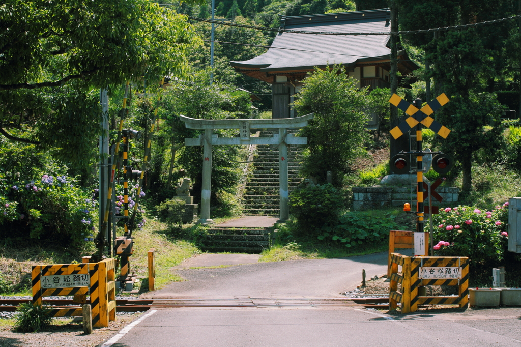 踏切を渡ると鳥居