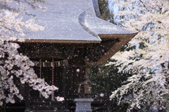 風と天神