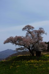 あれが移ヶ岳