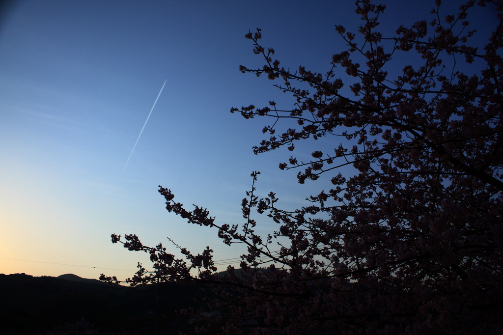 飛行機雲