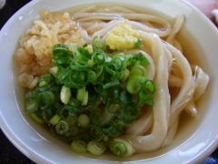 かけうどん（温