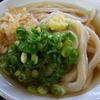 かけうどん（温