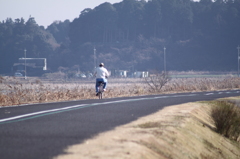 サイクリングロード