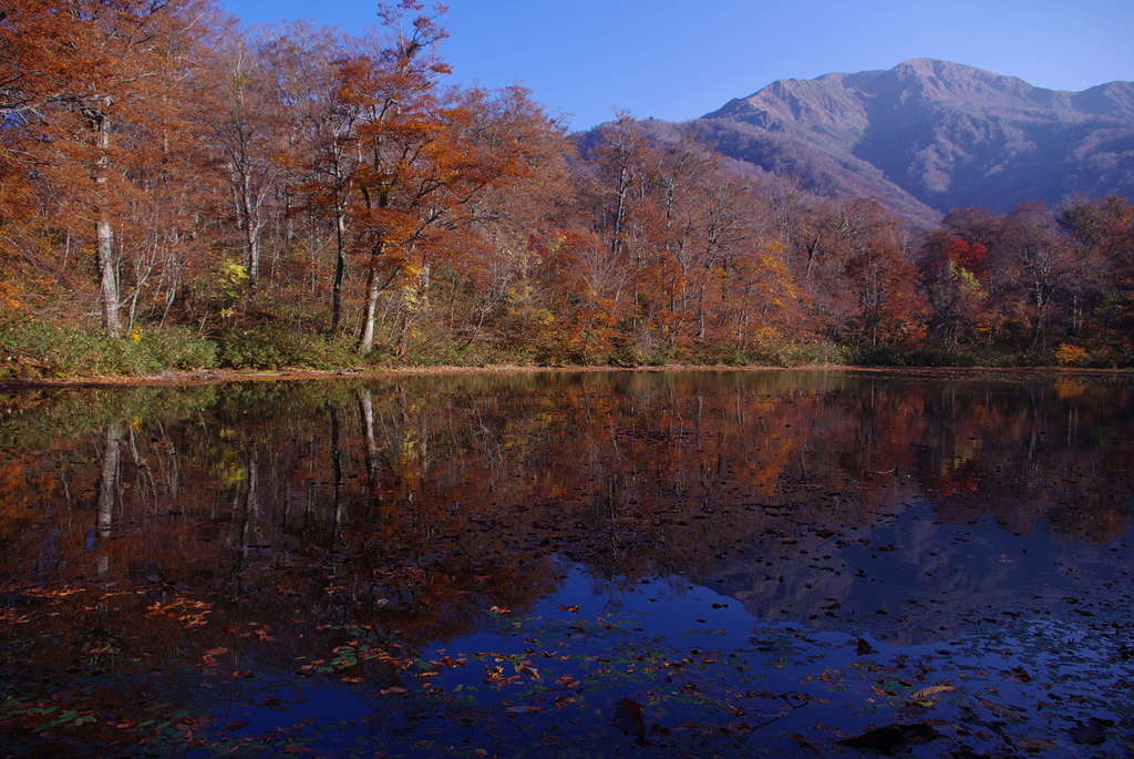 刈込池の紅葉