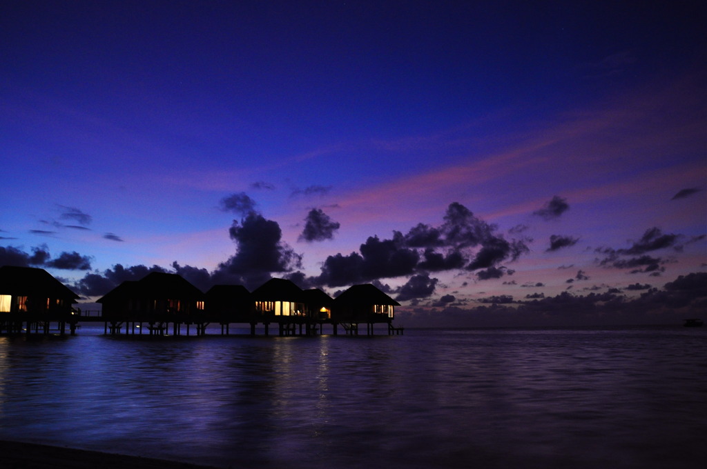 Twilight swim