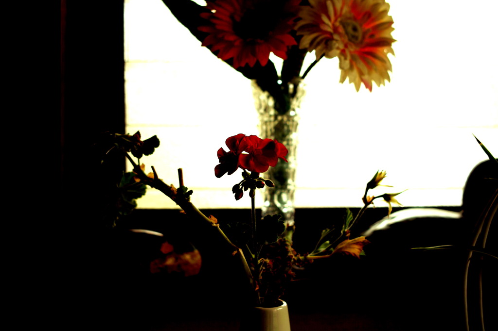SDIM0691
