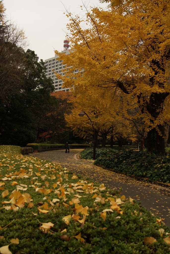 都会の真ん中で