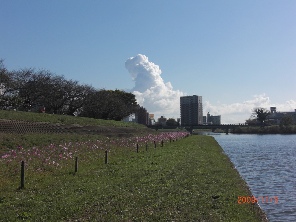 桜川