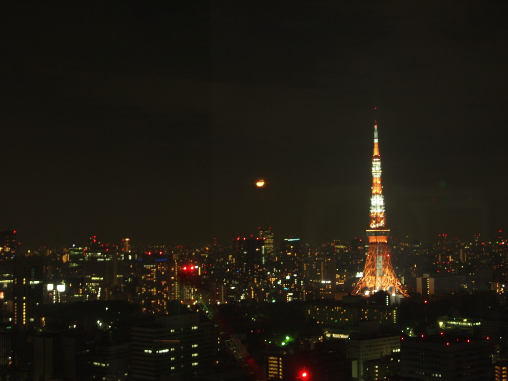 綺麗な夜景…