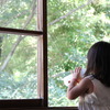 川を眺める