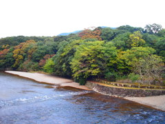 伊勢の紅葉の始まり。