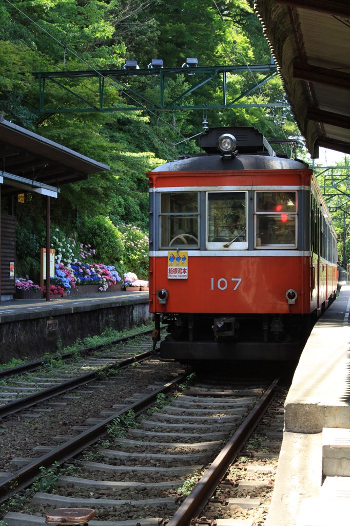 箱根登山鉄道