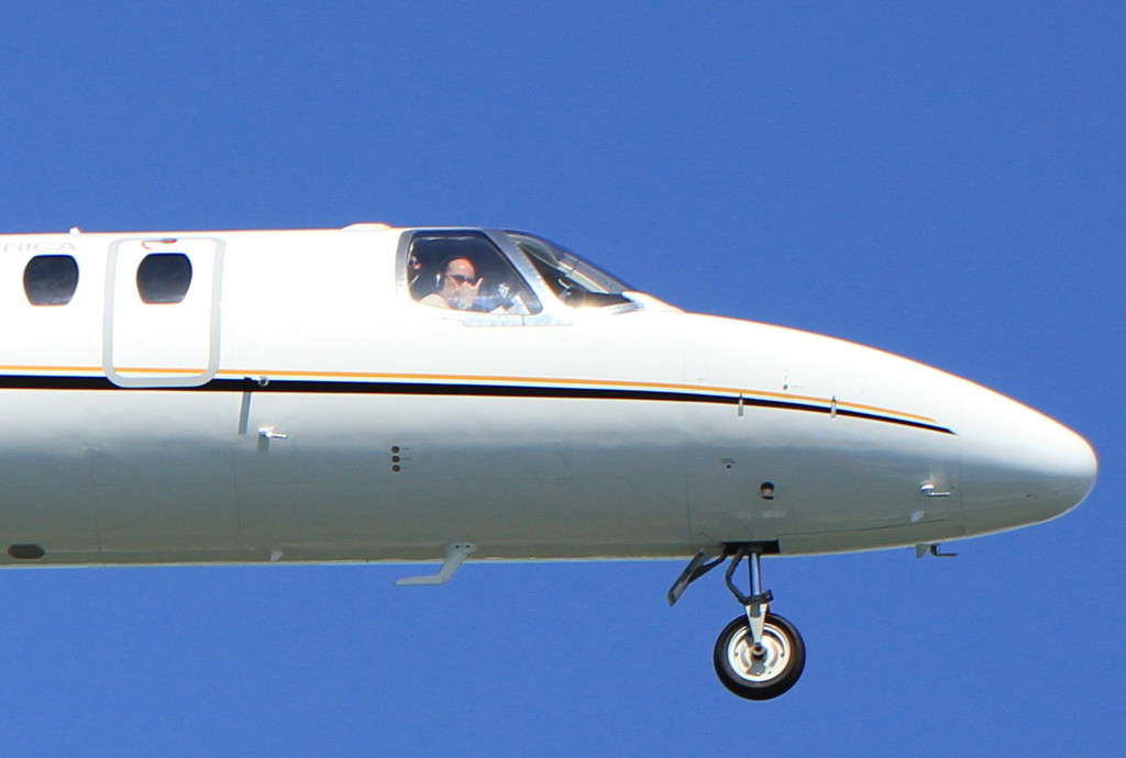 サイテーション