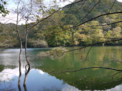 鶏頭場の池