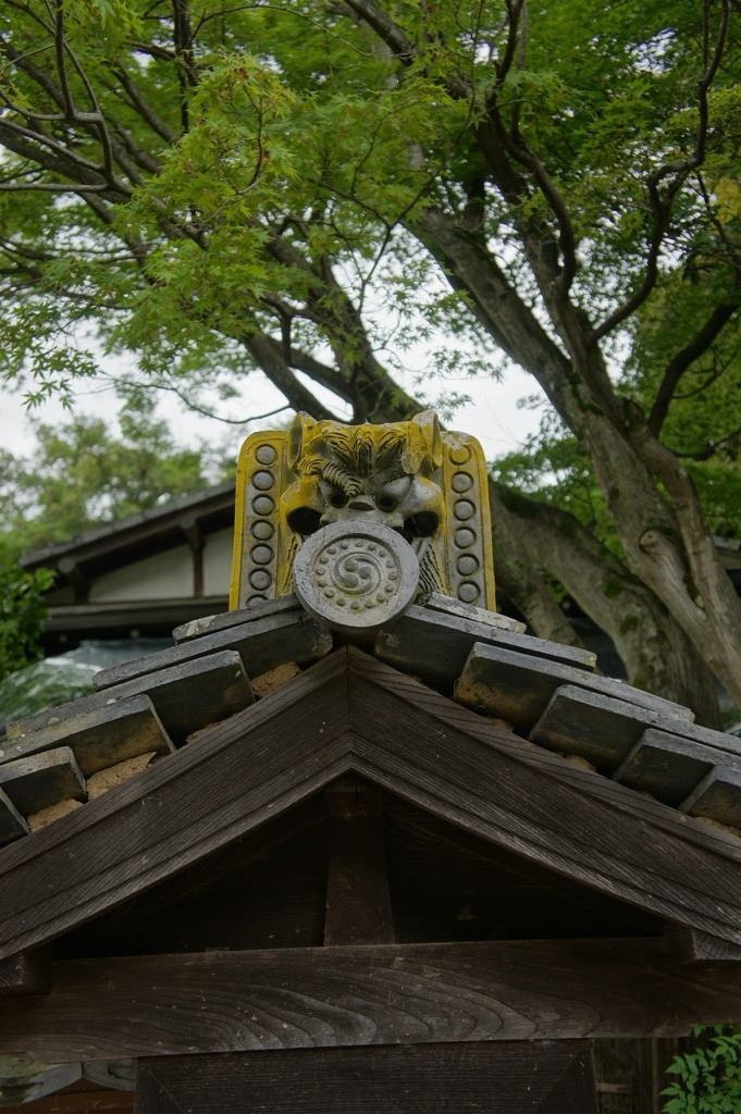 矢田寺