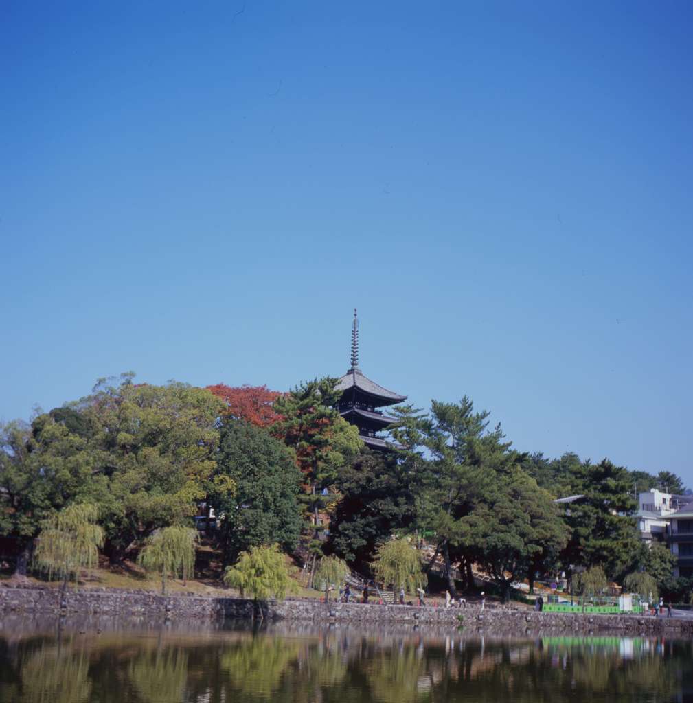 猿沢の池から望む興福寺五重塔