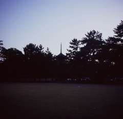 夕闇に浮かぶ興福寺五重塔