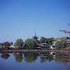 興福寺五重の塔　遠景