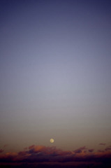 _IGP0819