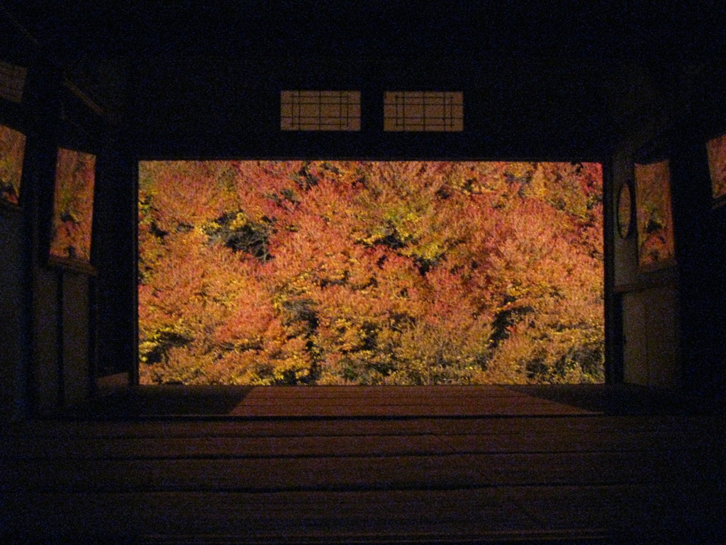 紅葉