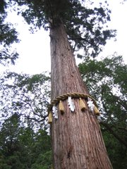 貴船神社