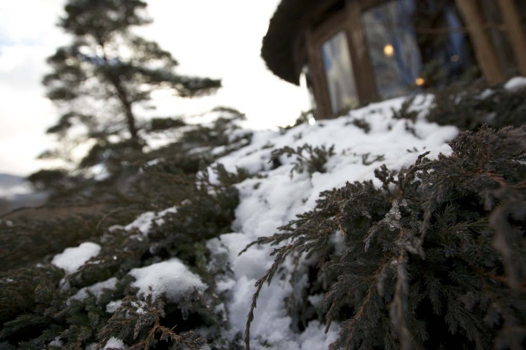 雪景色