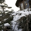 雪景色