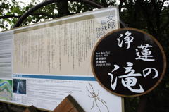 浄蓮の滝