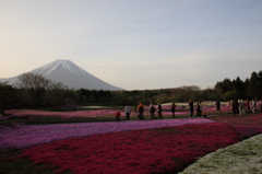 富士山と芝桜（さらに別アングルで）