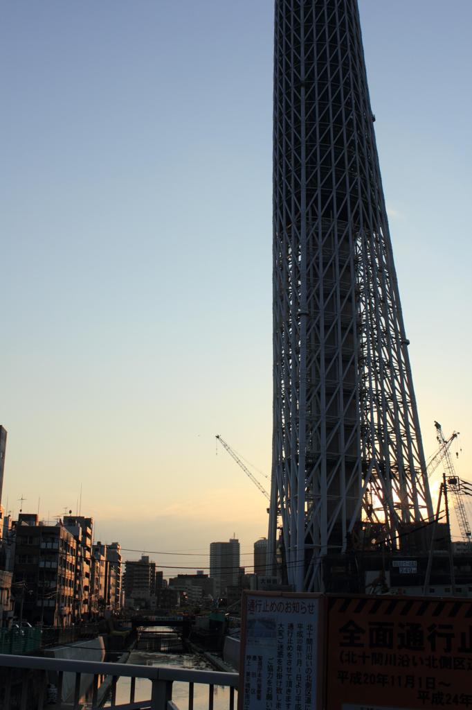 東京スカイツリー　夕暮れ