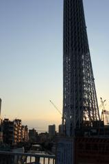 東京スカイツリー　夕暮れ