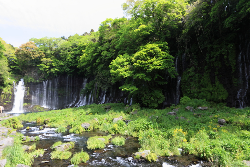 白糸の滝 013