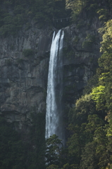 豪快な滝