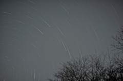 星ゾラ