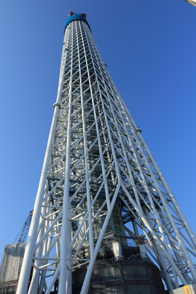 真下から